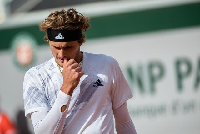 的观赏性和 的观赏性和