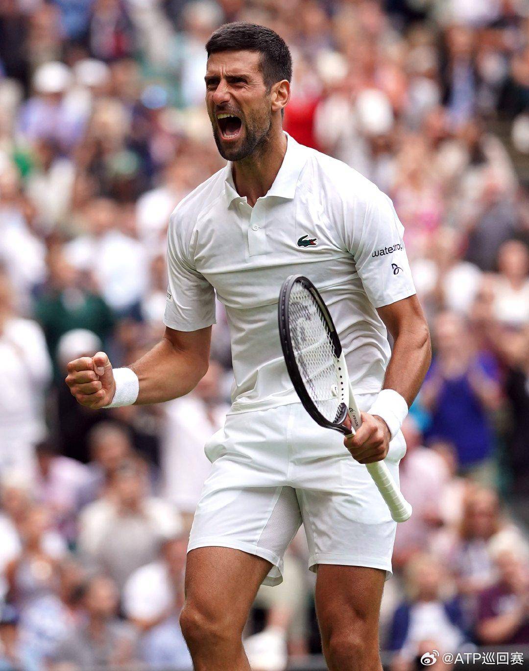 建议在鸣潮 建议在鸣潮